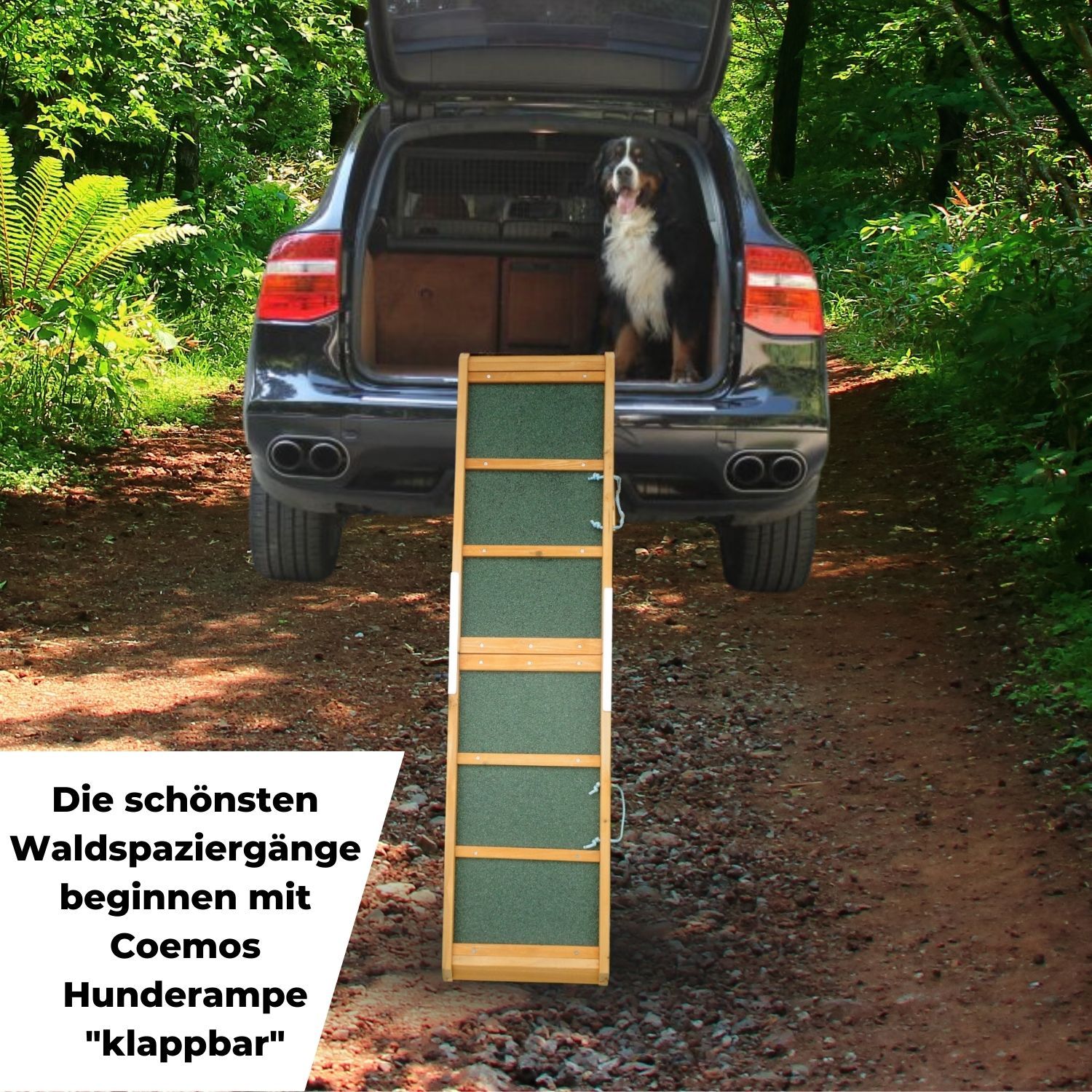 Coemo Hunde Rampe klappbar Aufstiegshilfe für Haustiere - Anti-Rutsch-Belag
