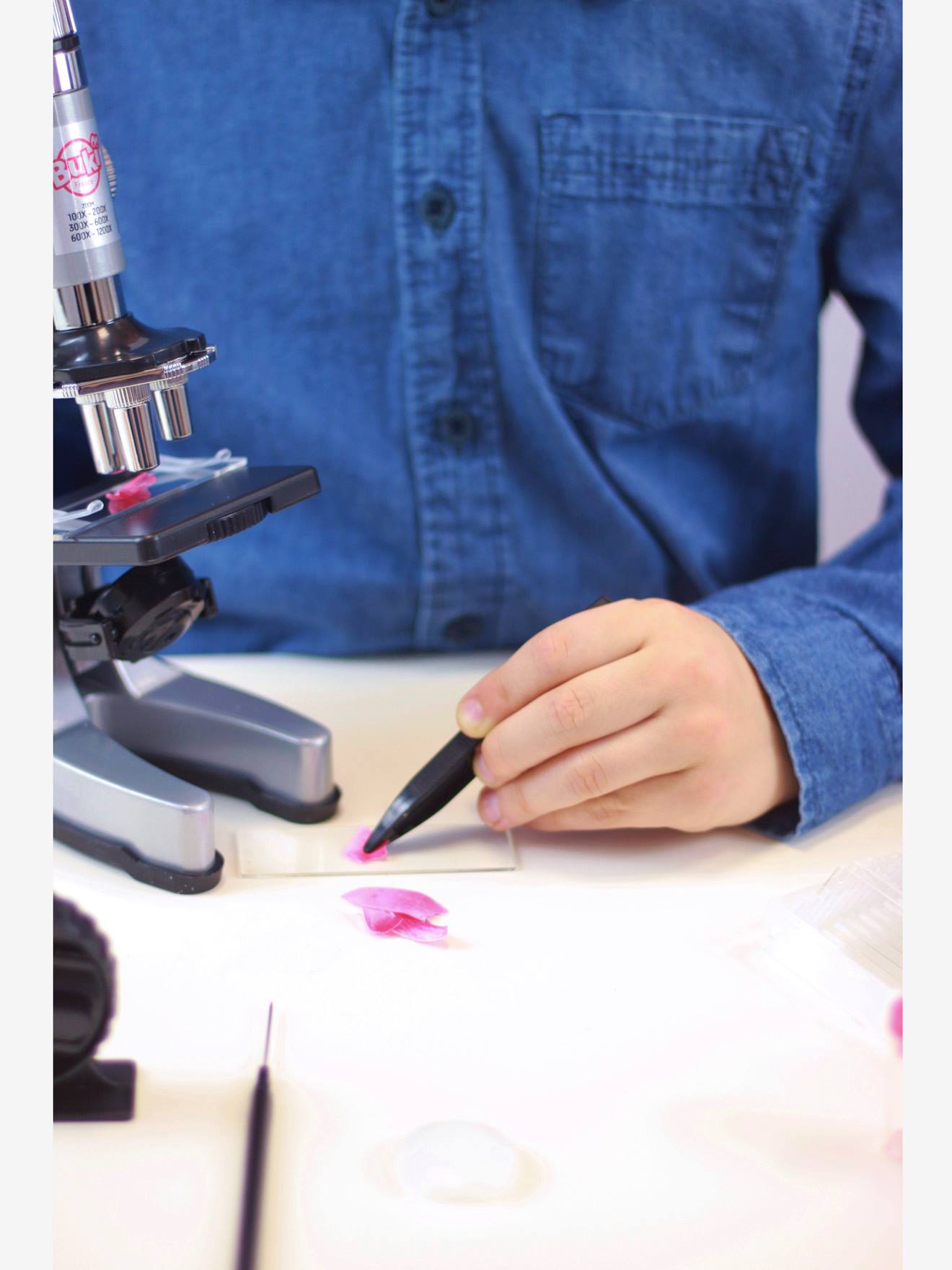 Microscópio