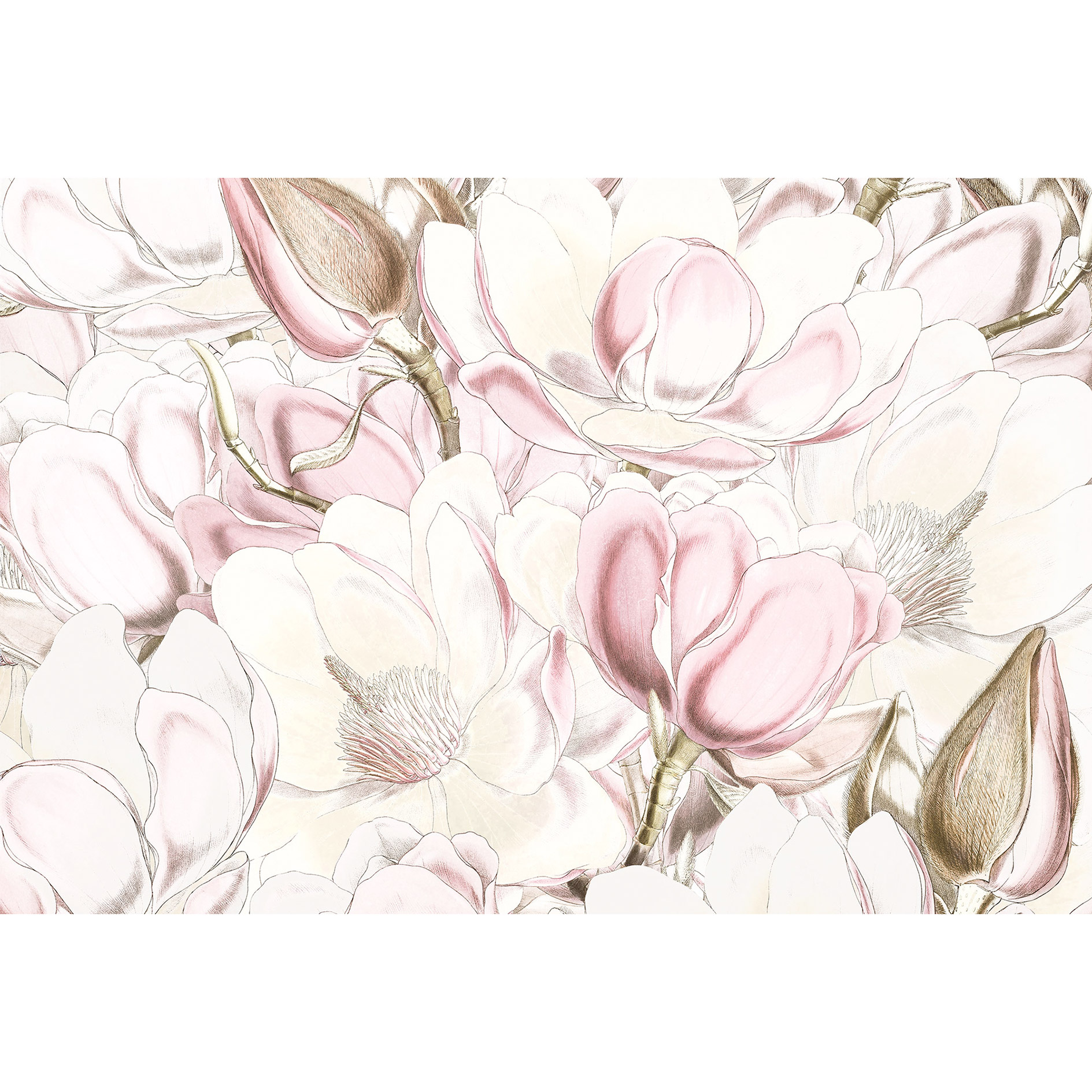 Vlies-Fototapete PETALS - weiß-rosa - 368x248 cm