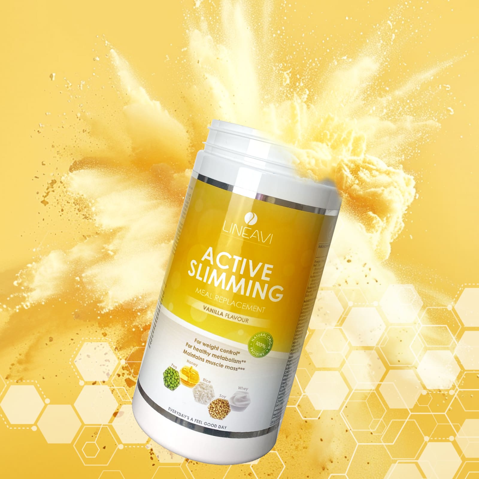 LINEAVI Aktivkost Diät Shake + Shaker - 3x500g - Vanille