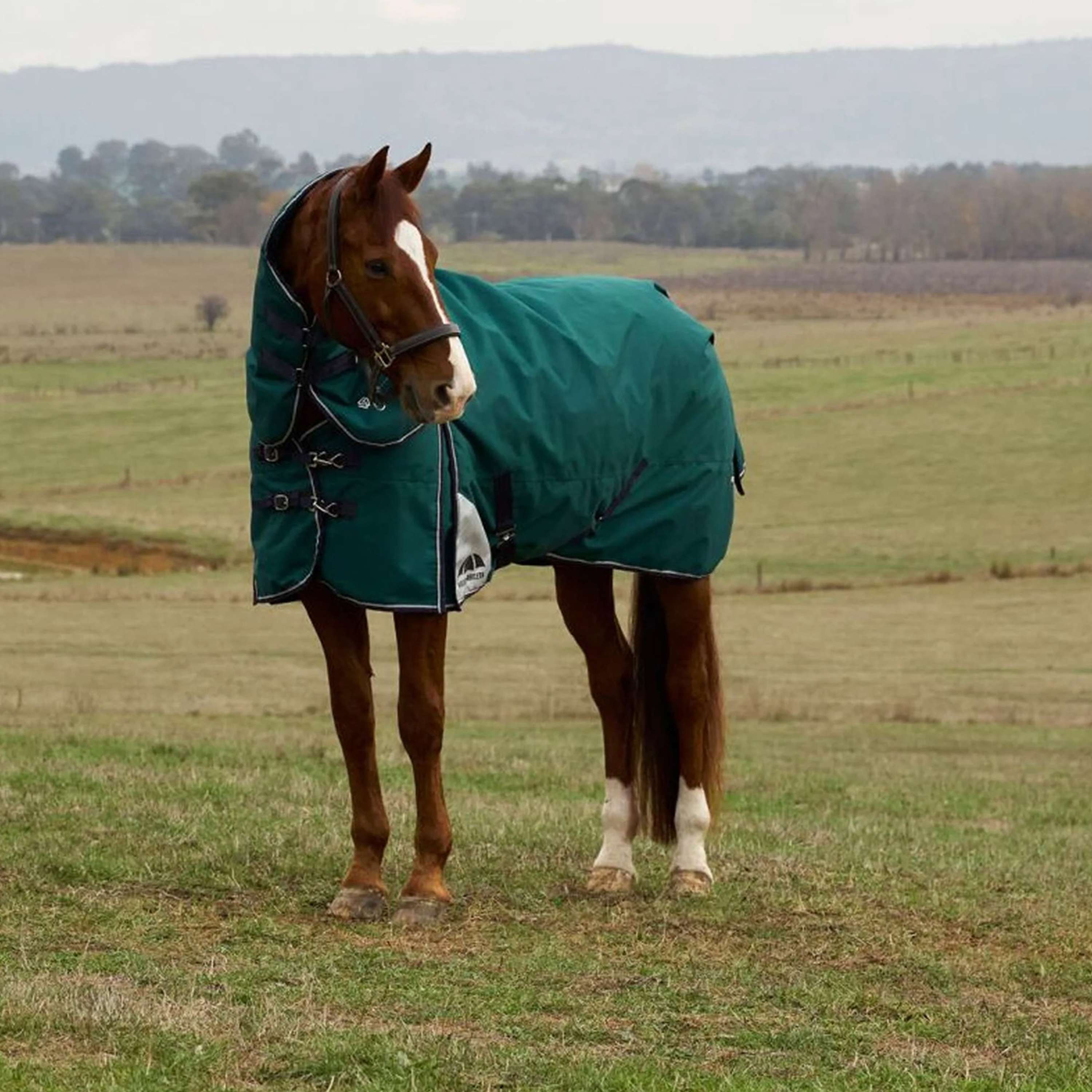 WeatherBeeta ComFiTec Plus Dynamic Turnout Detach-A-Neck 220g Forest G