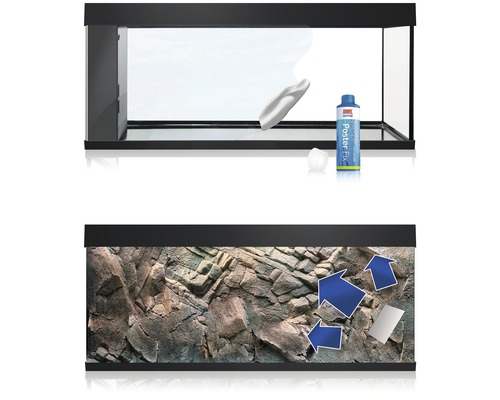 Achterwandposter JUWEL Planten/Stenen 60x30 cm