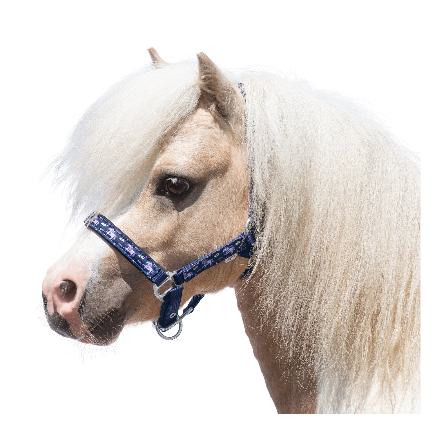 Horse-friends Halfter  - navy unicorn