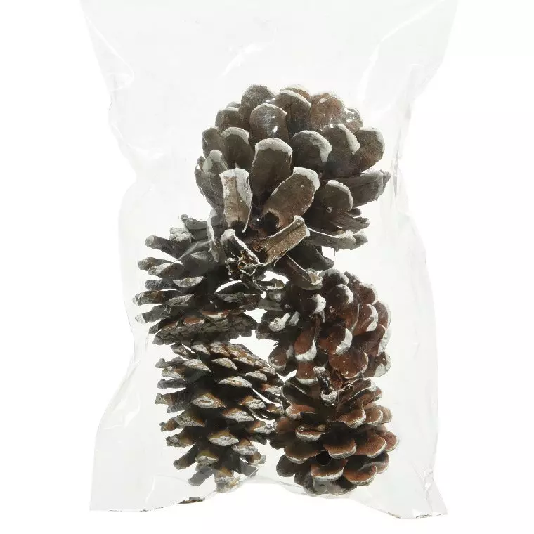 Lot de 5 pommes de pin Pinus nigra enneigées Naturel
