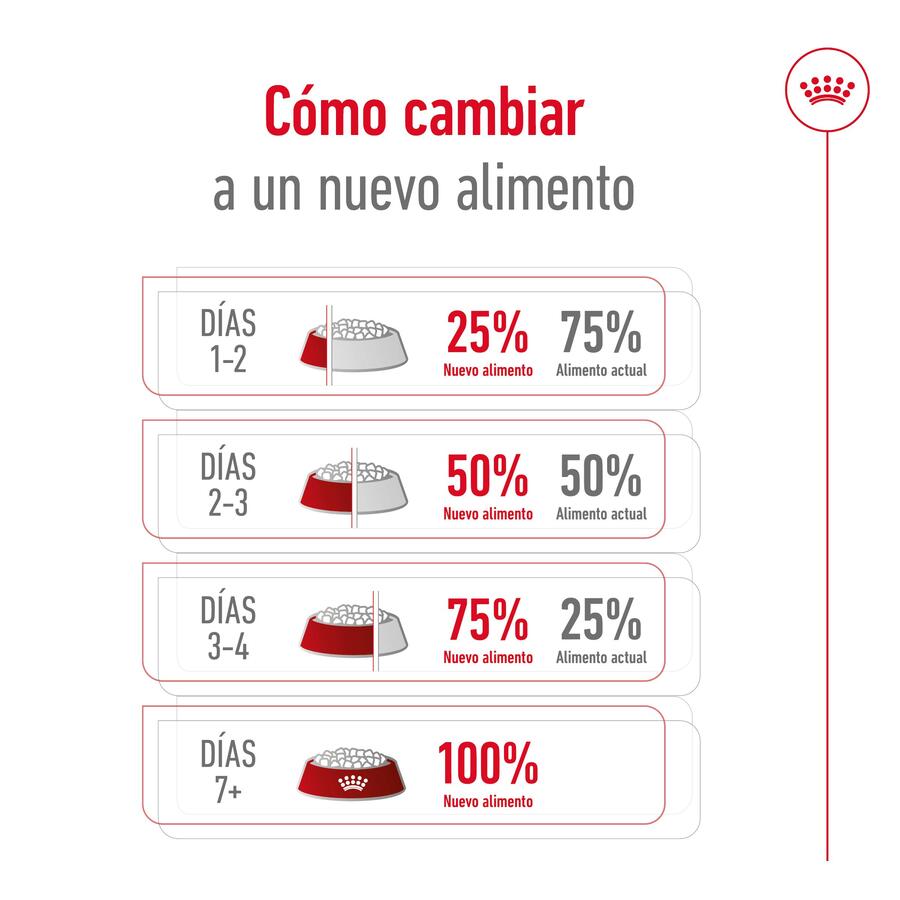 Ração Royal Canin Medium 7+ para cães adultos seniores