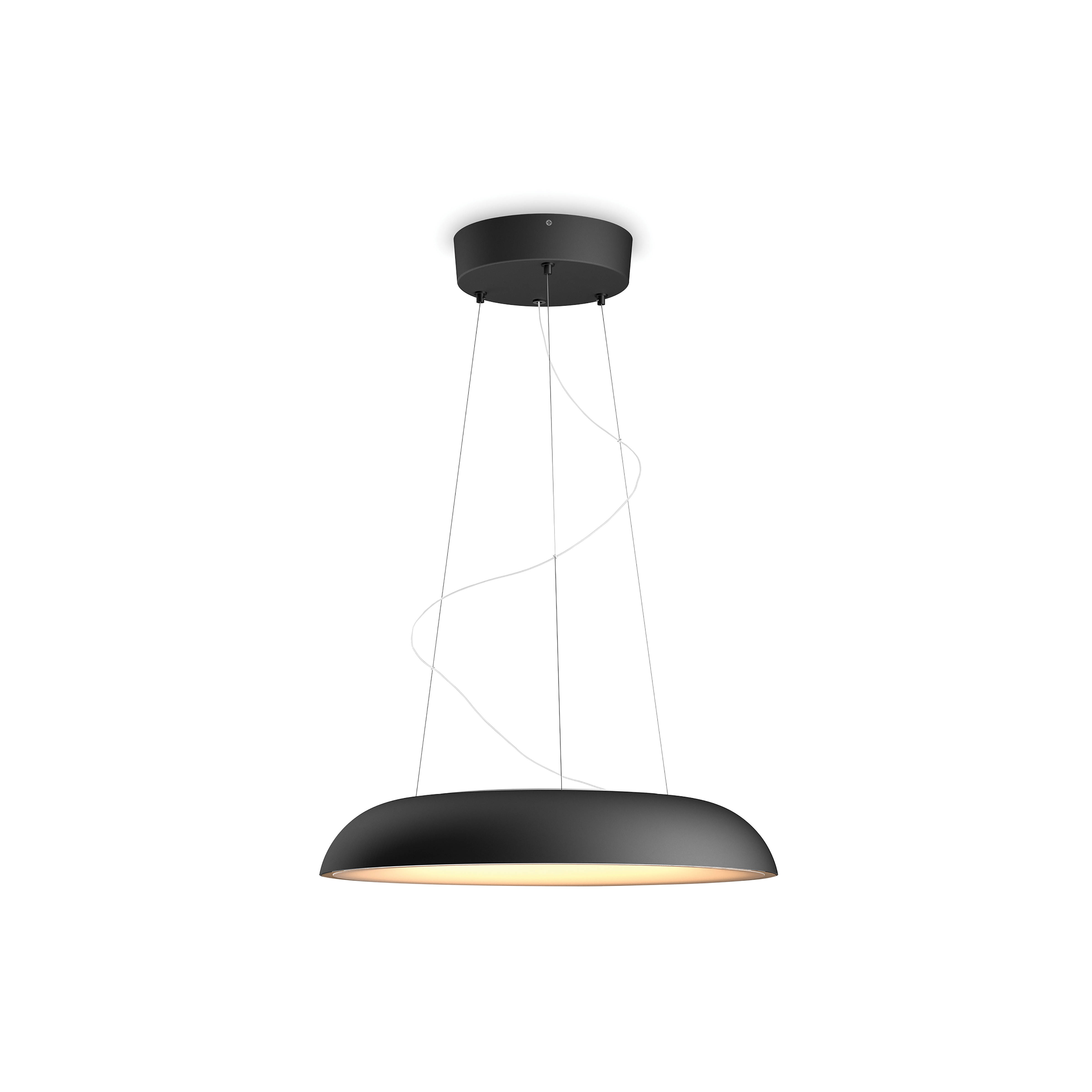 Philips Hue Amaze hanglamp - warm tot koelwit licht - zwart - 1 dimmer switch