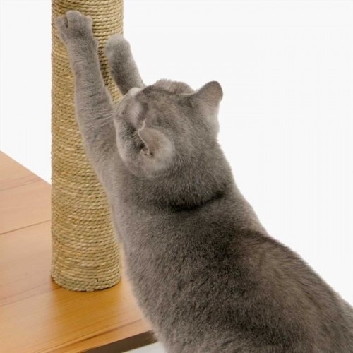 Arranhador para Gatos Vesper V-Base com Brinquedo