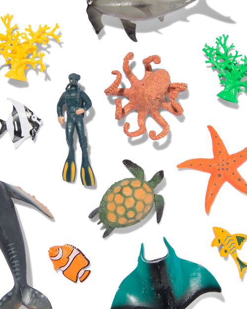 animaux marins
