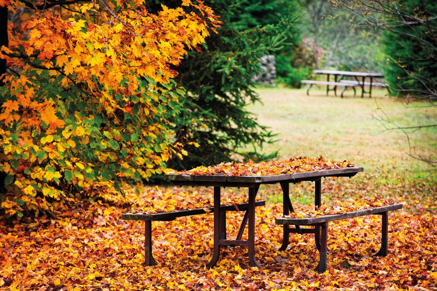 PB-Collection tuinschilderij picknick groen 40 x 30 x 2,5 cm