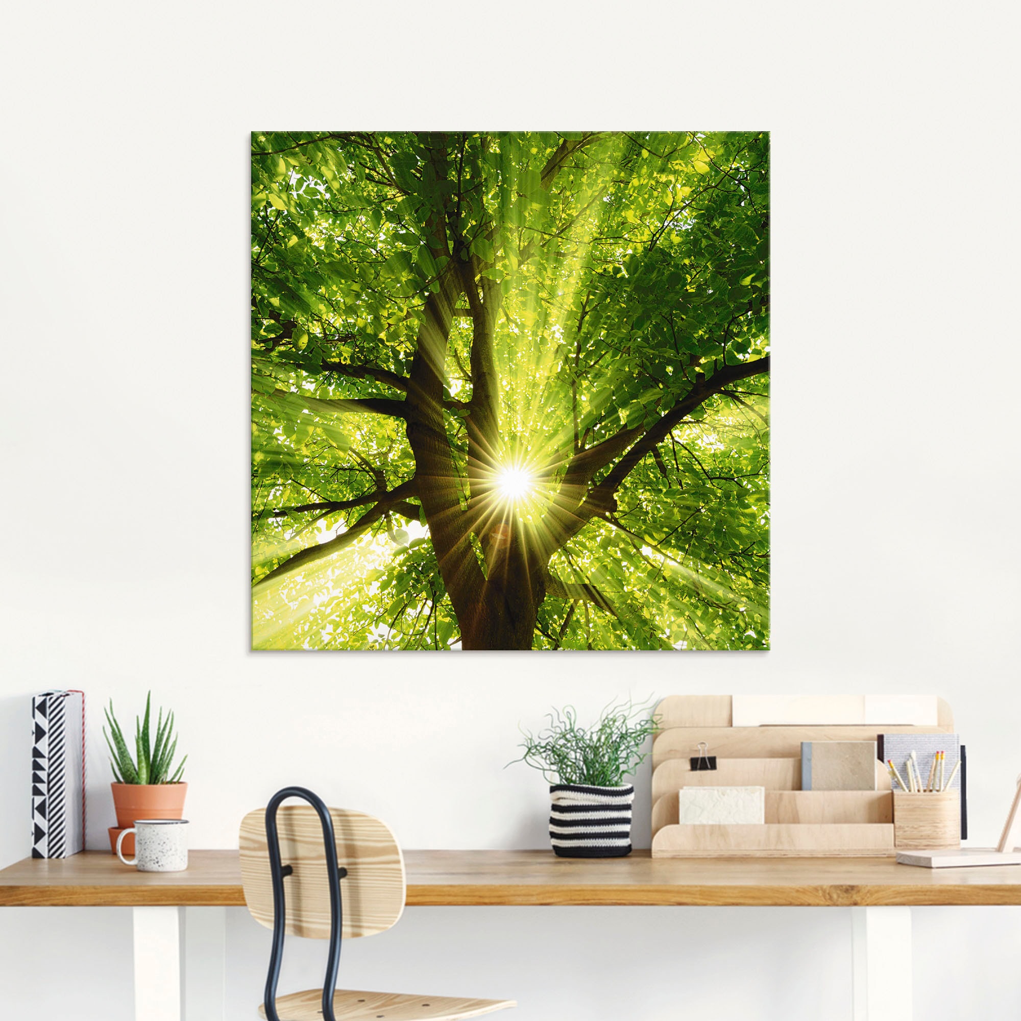 Artland Glasbild »Sonne strahlt explosiv durch den Baum« Bäume 1 Stk. tlg. in verschiedenen Grössen