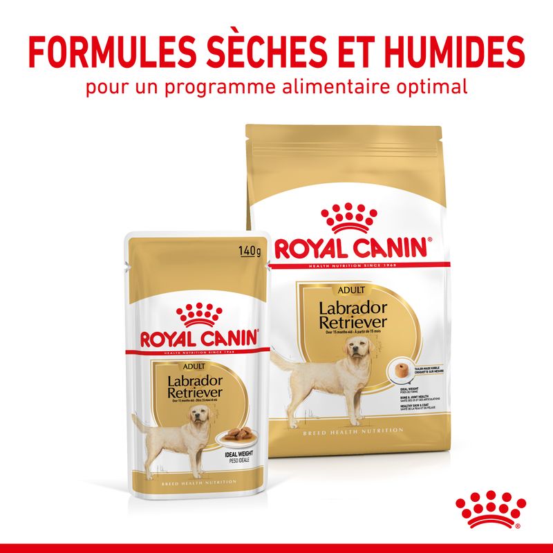 Royal Canin Labrador Retriever Adult en sauce