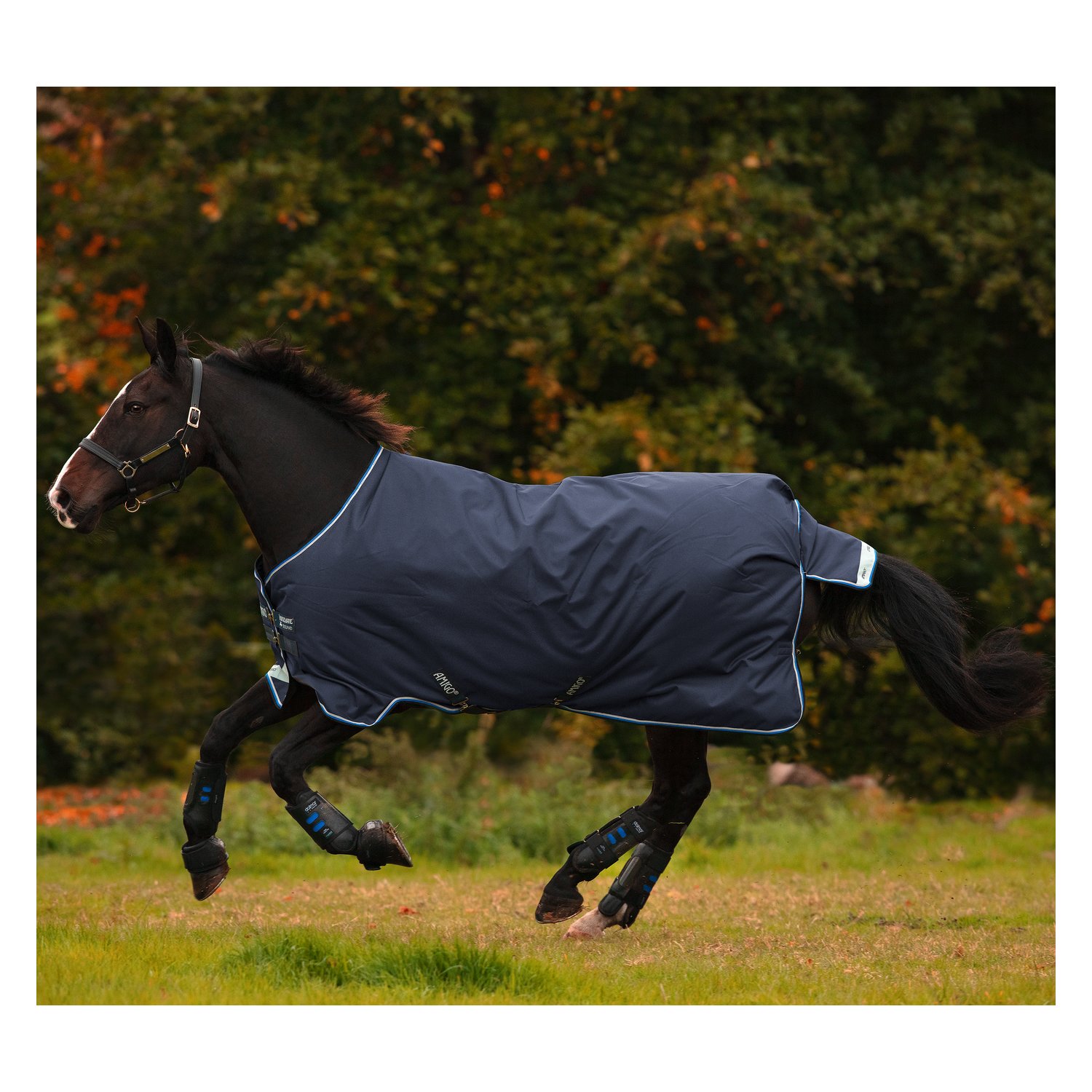Horseware Outdoordecke AMIGO Bravo 12 Medium - navy/strong blue & silver