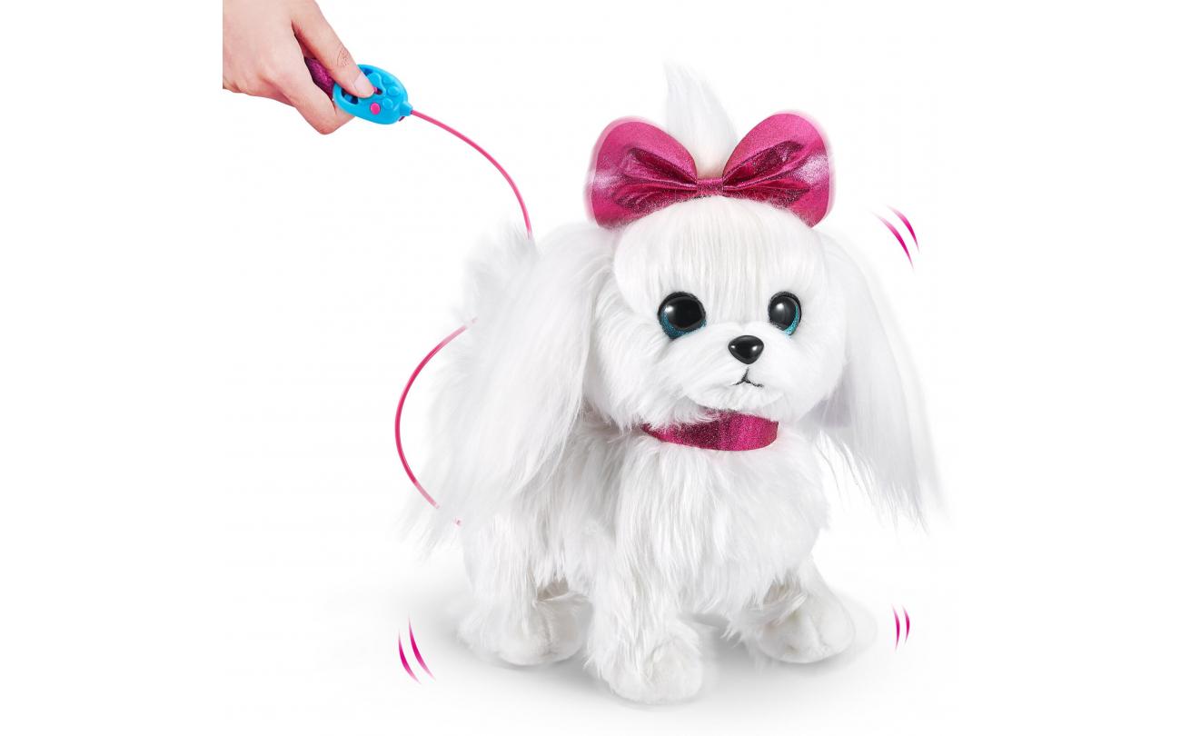 Pets Alive Paw Paw de wandelpuppy