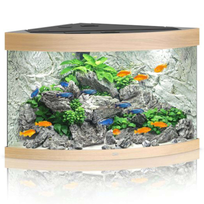 Juwel Aquarium Trigon 350 LED, helles Holz