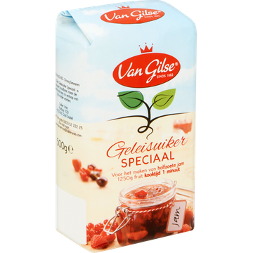 Van Gilse Geleisuiker Speciaal 500 g