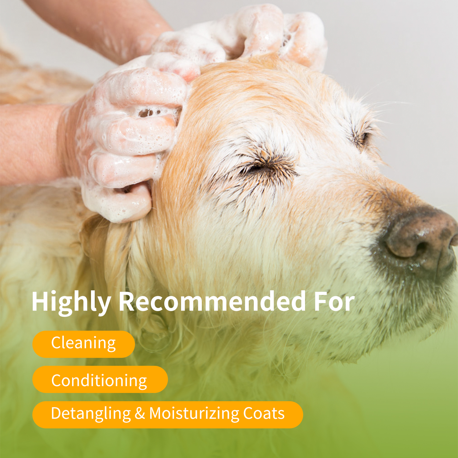 Shampoo Nobleza para Cães de Pelo Longo, Shampoo para Cães com Pele Sensível e Dermatite, Shampoo Anti-Odor para Cães com Extrato de Folha de Camellia Sinernsis, Fragrância de Lavanda e Cítricos 250 ml
