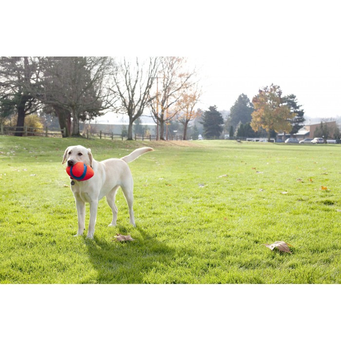 Ballon Fumble Fetch