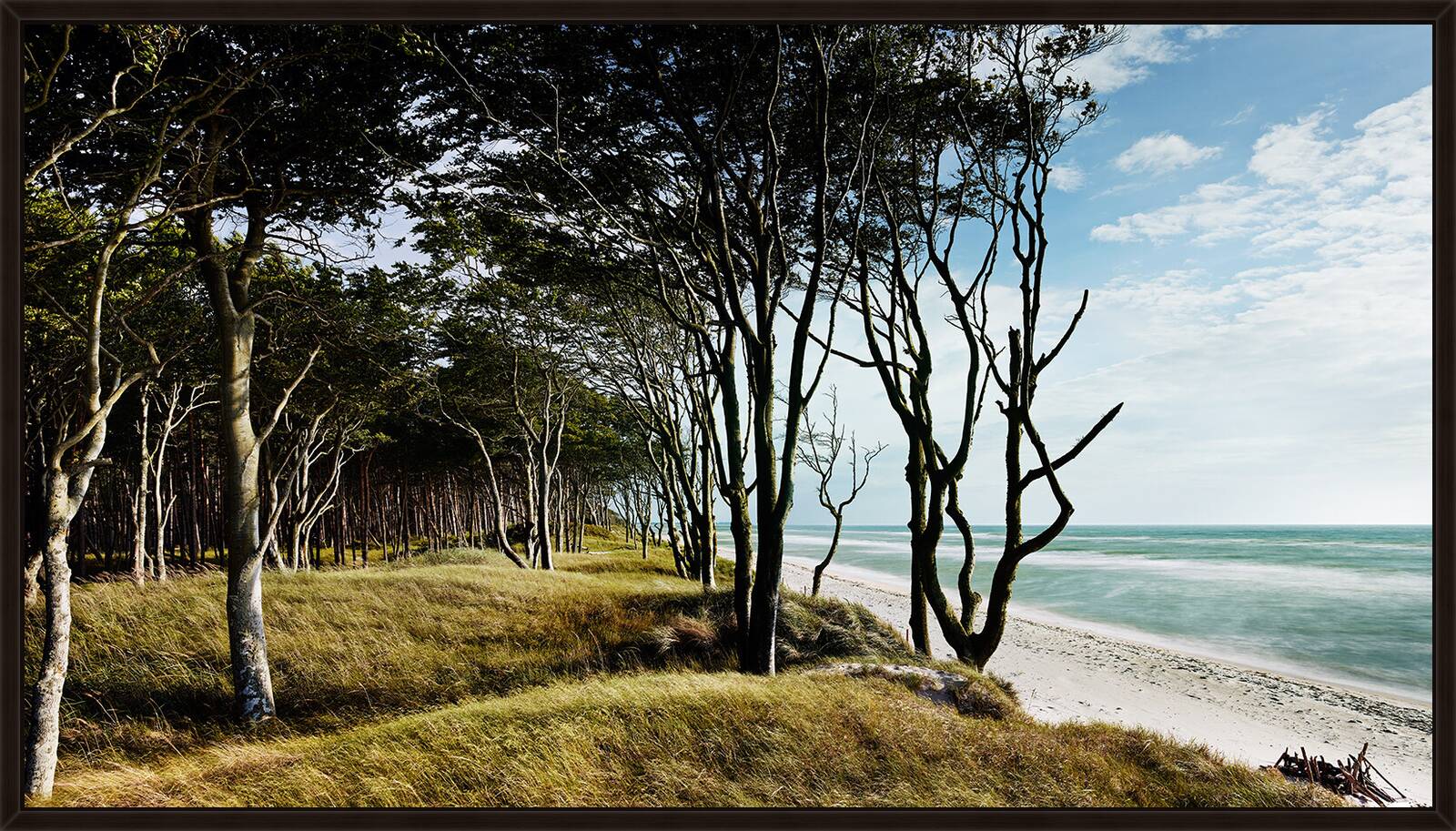 Weststrand, Darss by Berthold Steinhilber - Limited Edition. Edition of: 150. Signed.