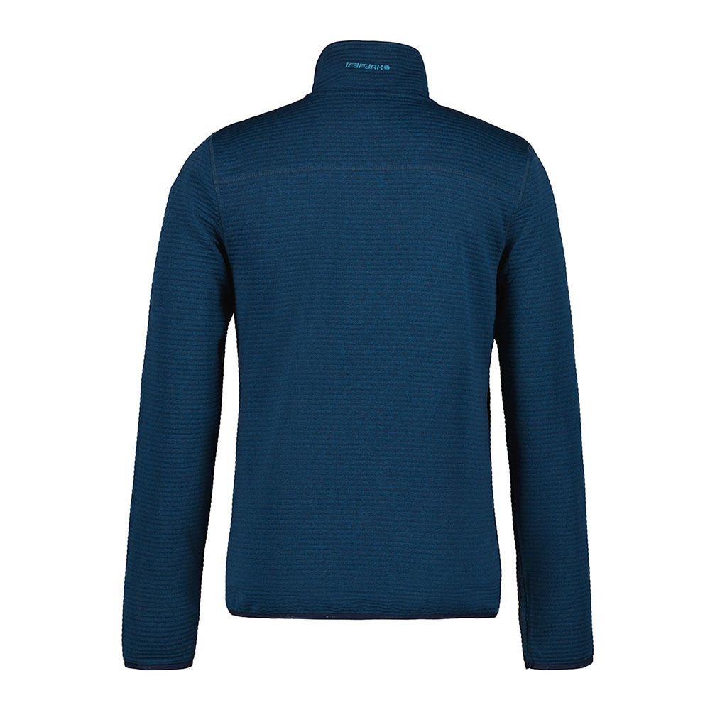 Icepeak BERTHOLD - Polaire Homme dark blue