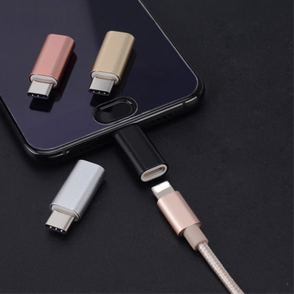 USB C auf Lightning Mini Konverter Adapter - Silber