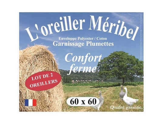 DODO - Pack oreiller Lot de 2 oreillers meribel plumettes 60x60cm