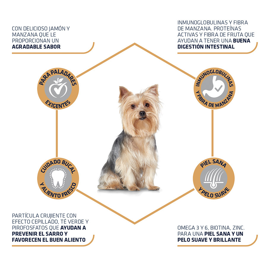 Ração Advance Active Defense para cães adultos da raça Yorkshire Terrier, 1,5 kg.