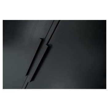 WOOOD kledingkast 2-deurs Adam zwart grenenhout 200 x 100 x 53 cm