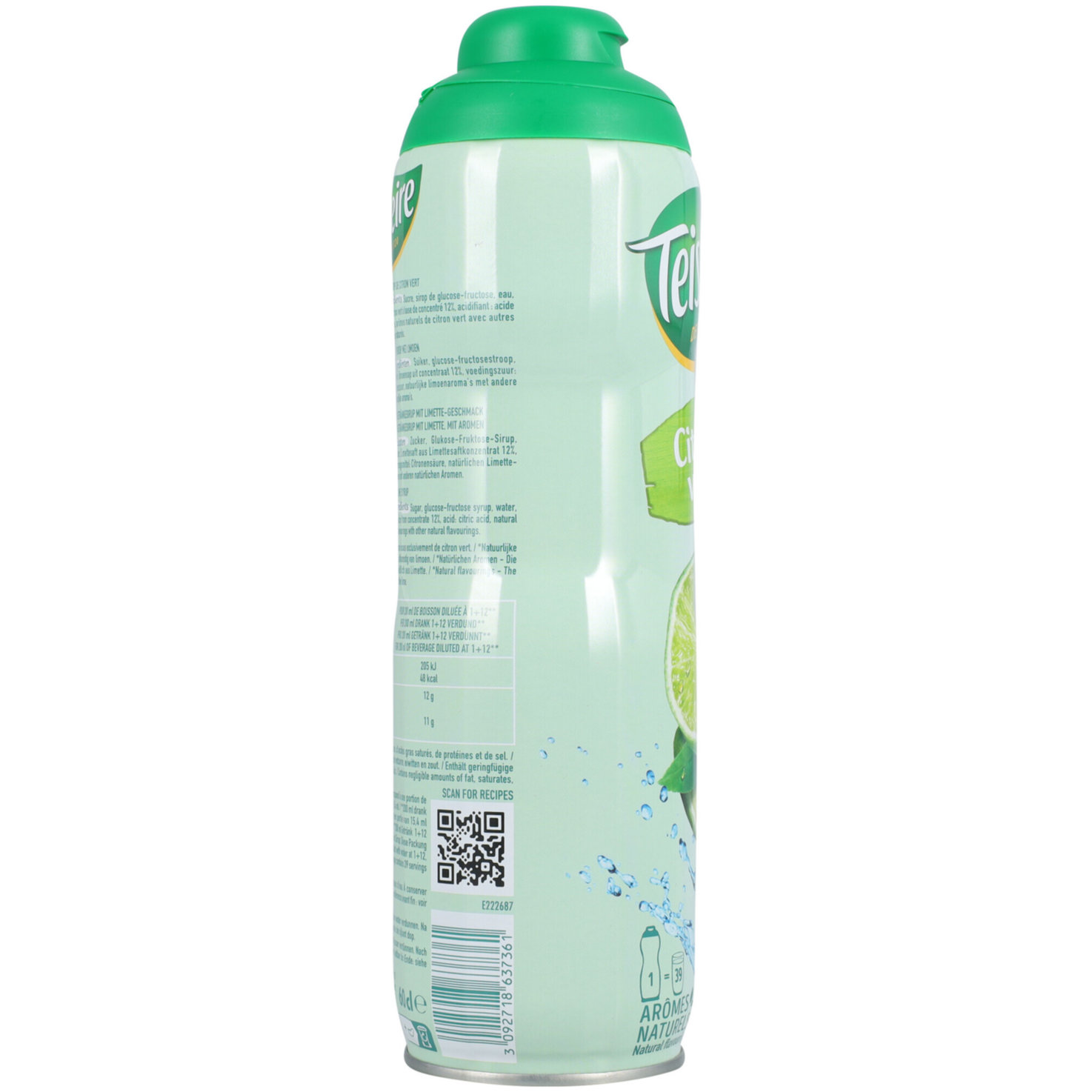 Teisseire Limetten-Sirup -60cl