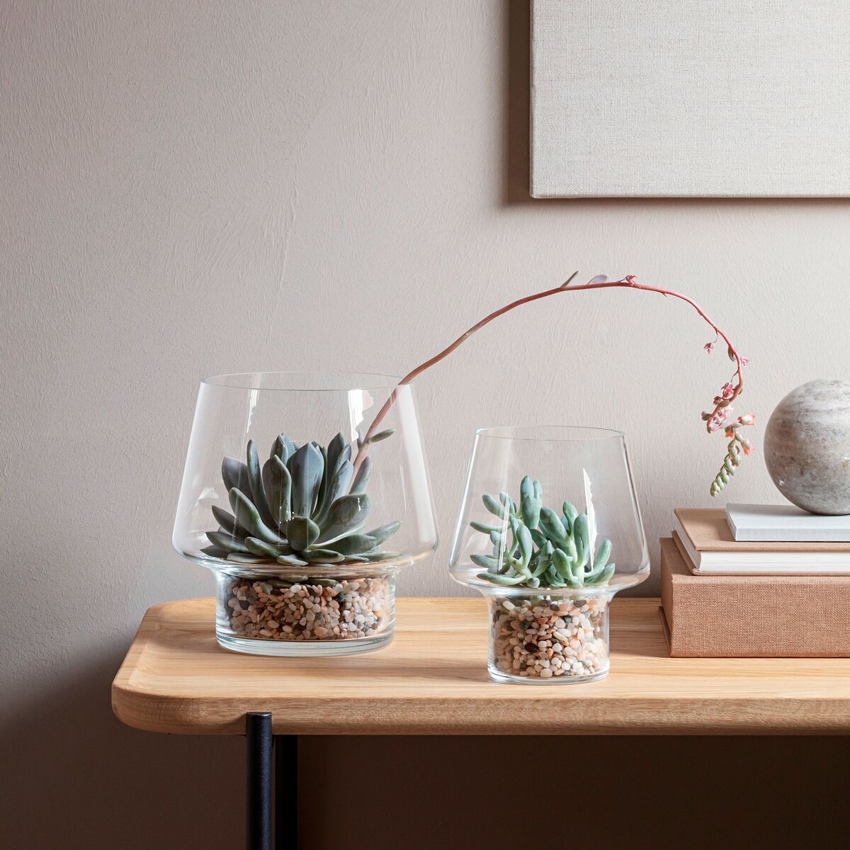 Sukkulent Glassvase Ø15 cm