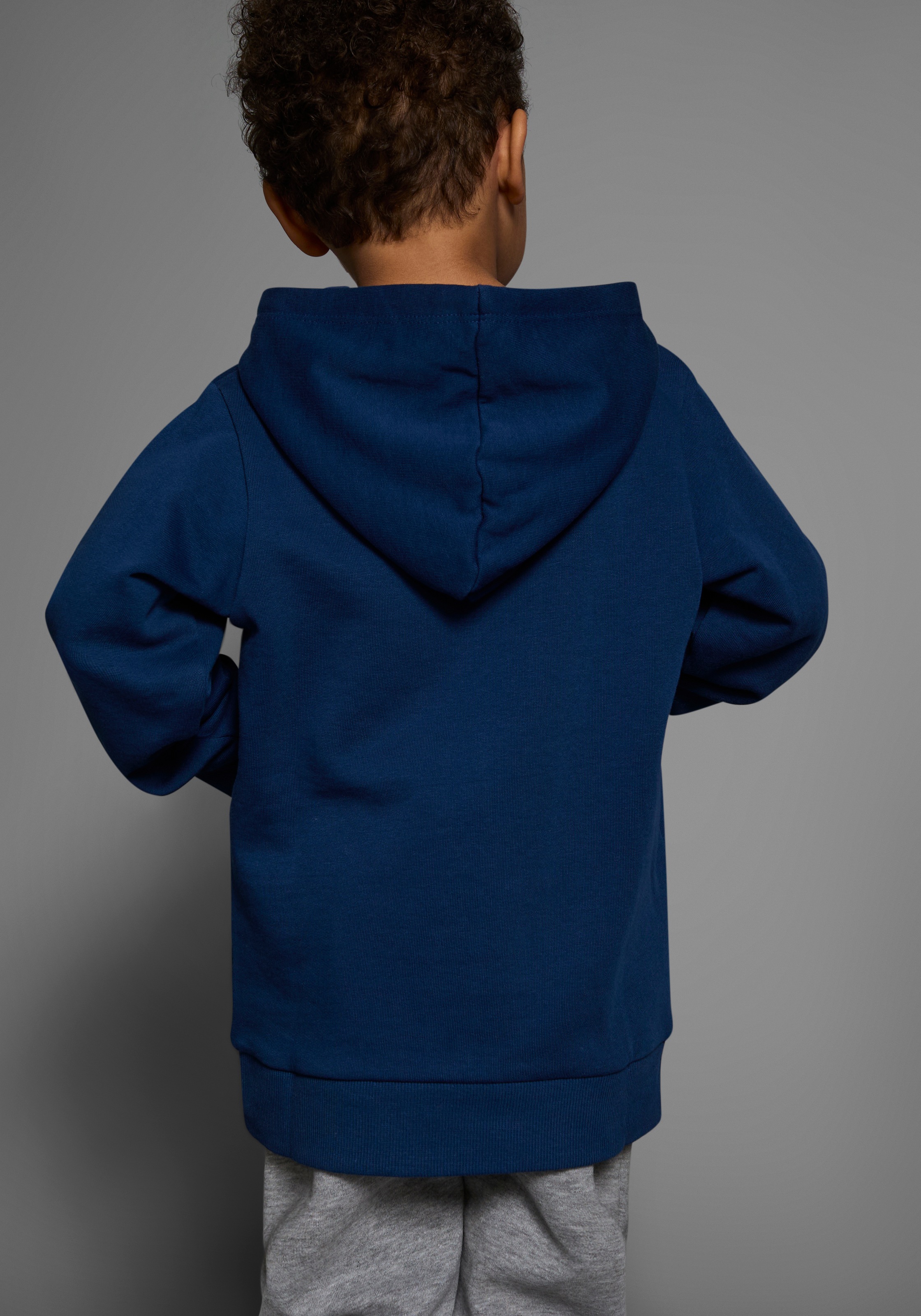 KIDSWORLD Kapuzensweatshirt »mit tollem Dino aus Wendepailletten«, Langarm,  Basic-Passform,  bedruckt,  aus  Baumwolle