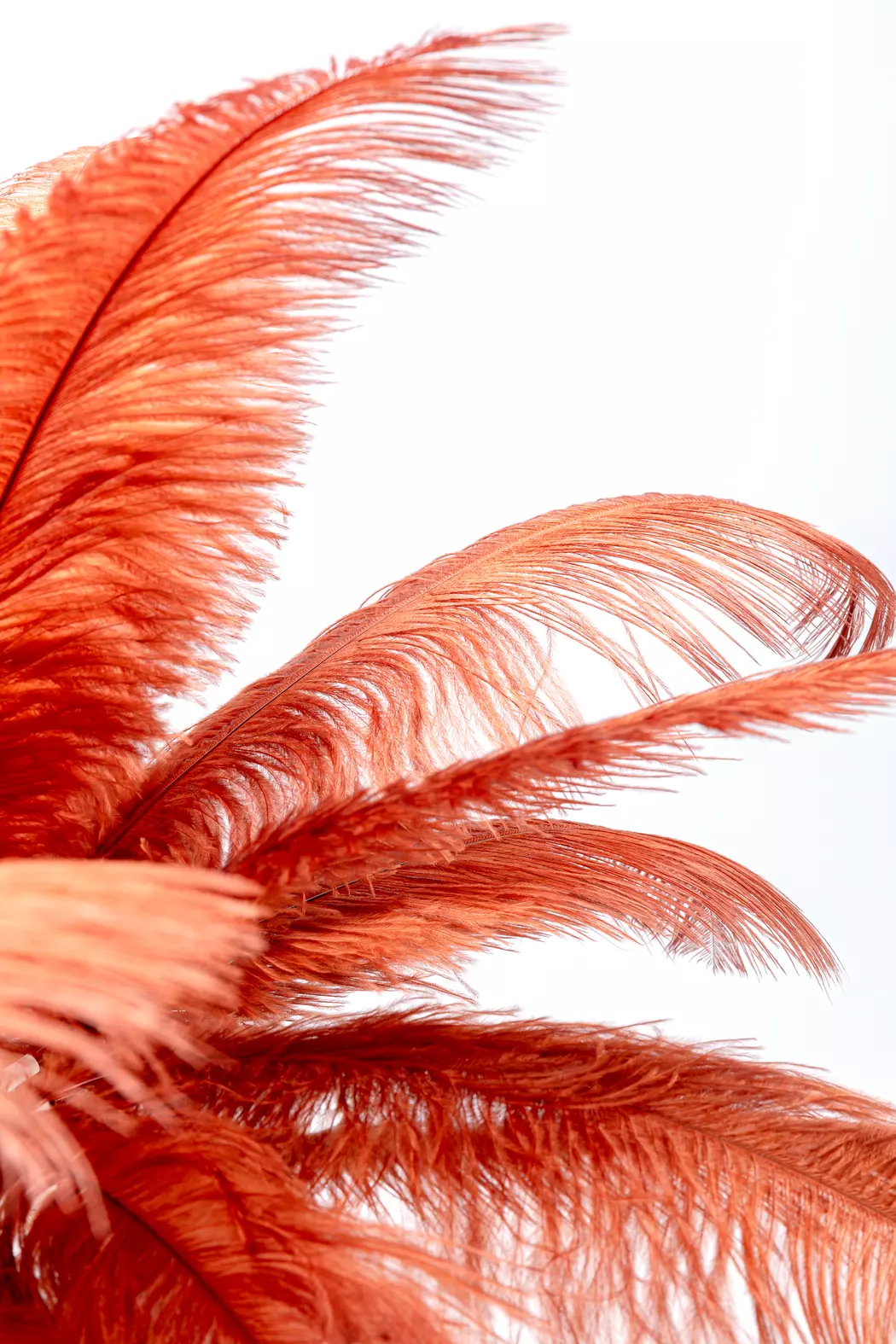 Tischleuchte Feather Palm