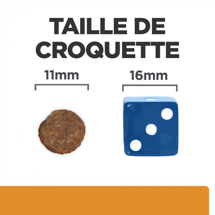 HILL'S Prescription Diet k/d j/d Kidney + Mobility - Croquettes pour chien