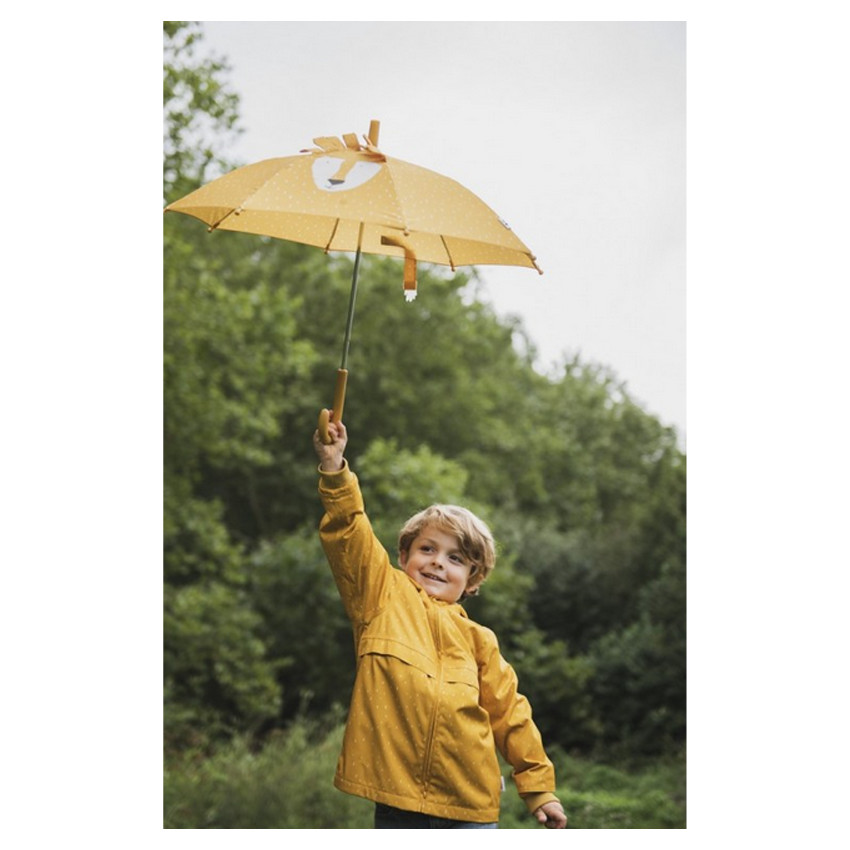 Parapluie Mr Lion
