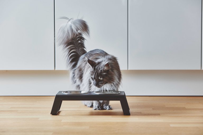 MiaCara Desco kattenvoerbak aluminium grijs