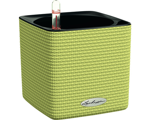 Lechuza Cube Color bloempot van kunststof, 14x14x14 cm, limoengroen, inclusief zelfbewateringssysteem en waterniveau-indicator