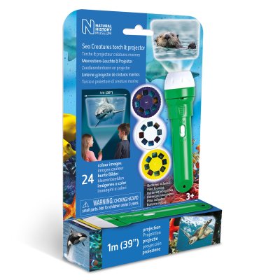 Nhm Sea Creatures Torch