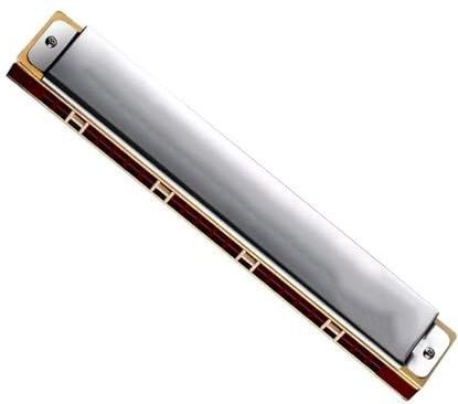 24 Holes Polyfone F Toon Mondharmonica Professioneel Beginnersmuziekinstrument Voor Volwassenen mondharmonica(Polyphonic G)