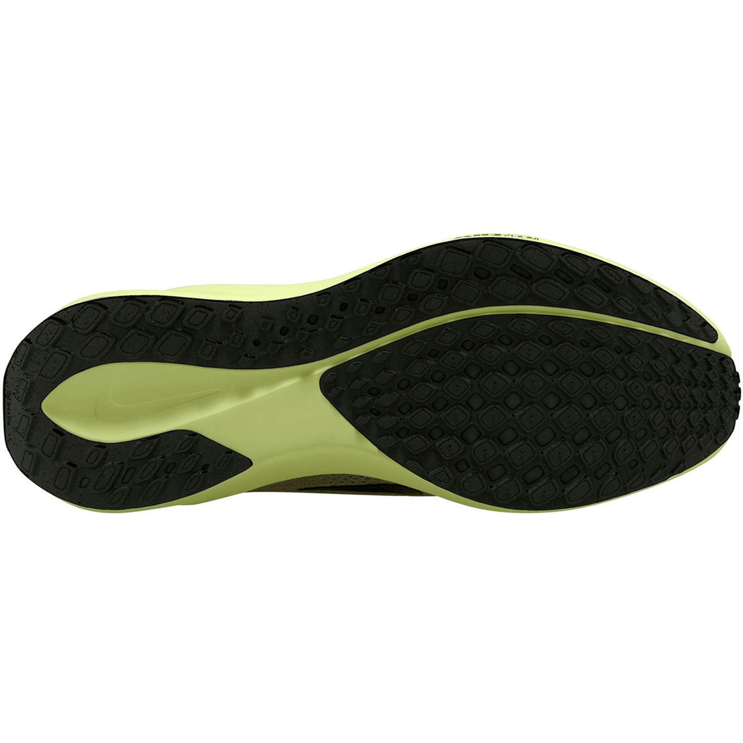 Nike Pegasus 41 Heren