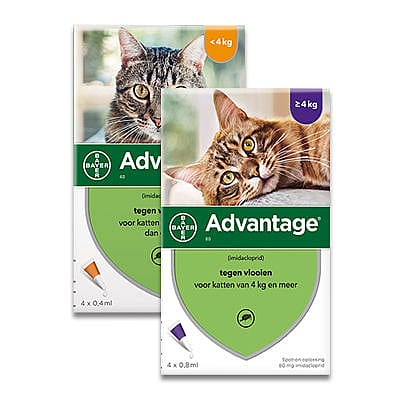 Advantage kat 40 vlooienmiddel