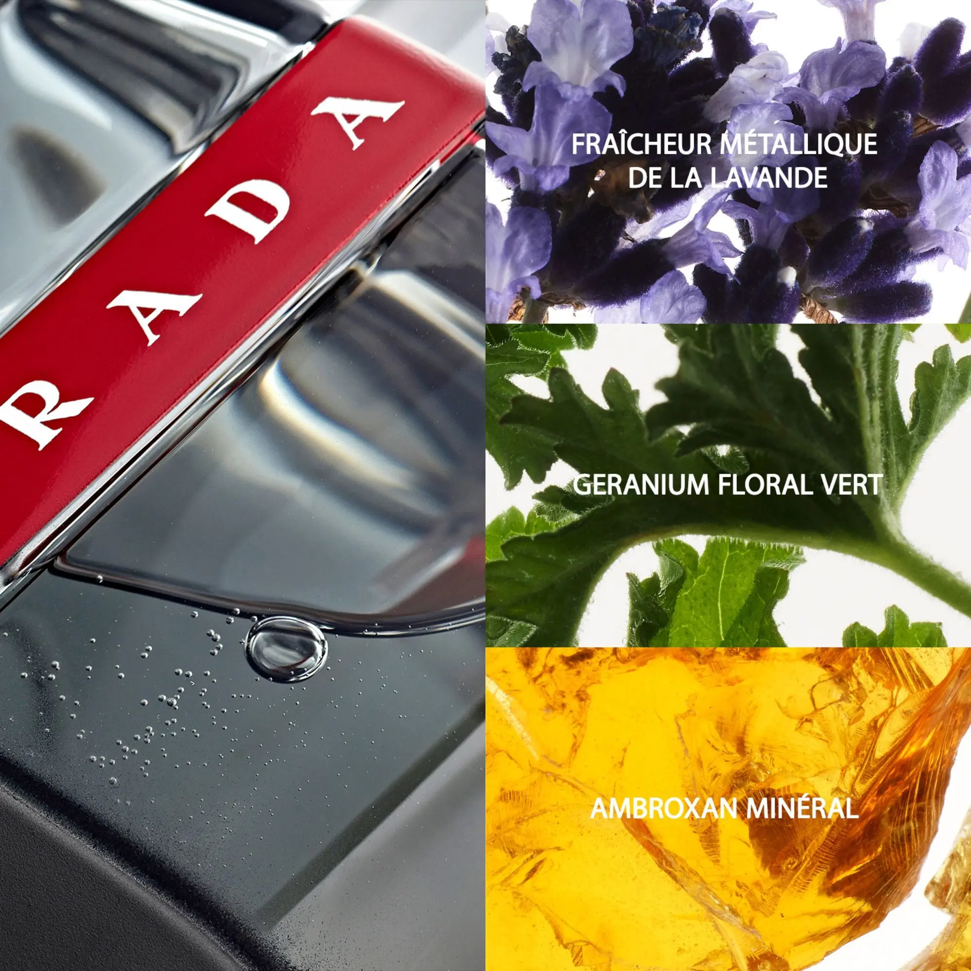 Prada - Luna Rossa Carbon Eau De Toilette- Eau de toilette