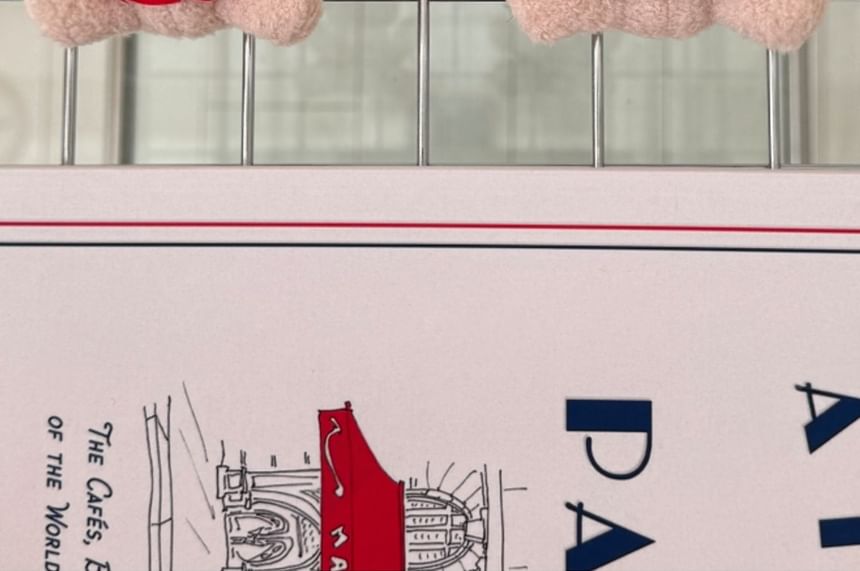 SeoulMall - Pluchen Beer Sleutelhanger