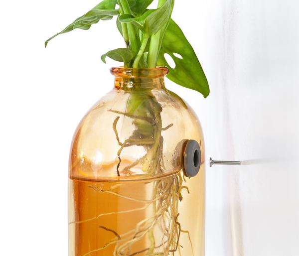 Waterplant-Set Wandhänger, 2-teilig