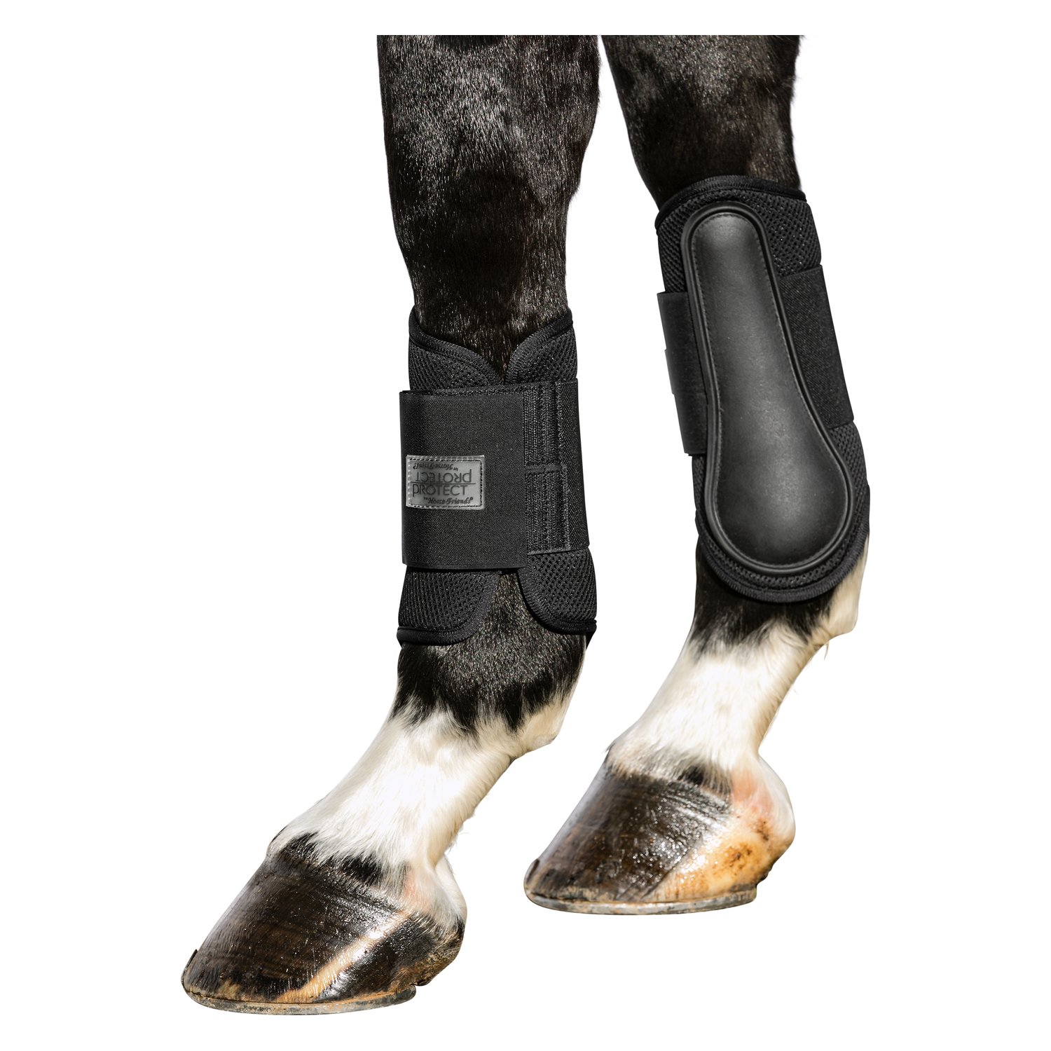 PROTECT by Horse-friends Gamaschen Mesh, vorne  - schwarz