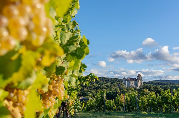 Schloss-Besichtigung Maria Enzersdorf