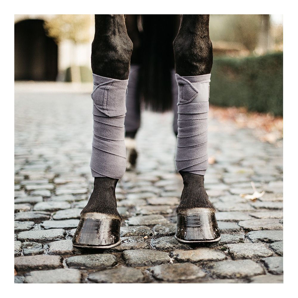 Kentucky POLO - Bandes de polo x4 gris