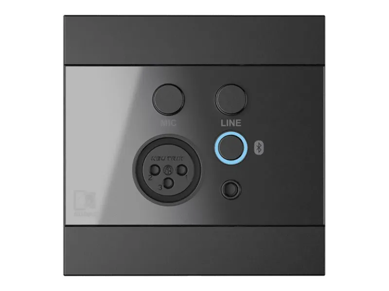 Audac WP225 - Audioforlængerkabel - Bluetooth