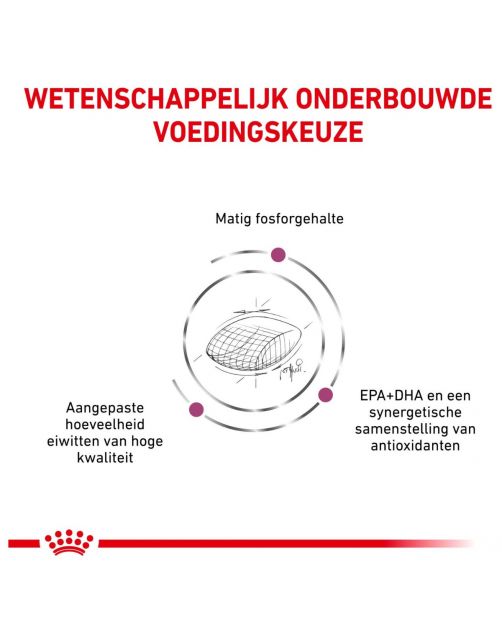 Royal Canin Veterinary Diet Dog Early Renal - Hondenvoer