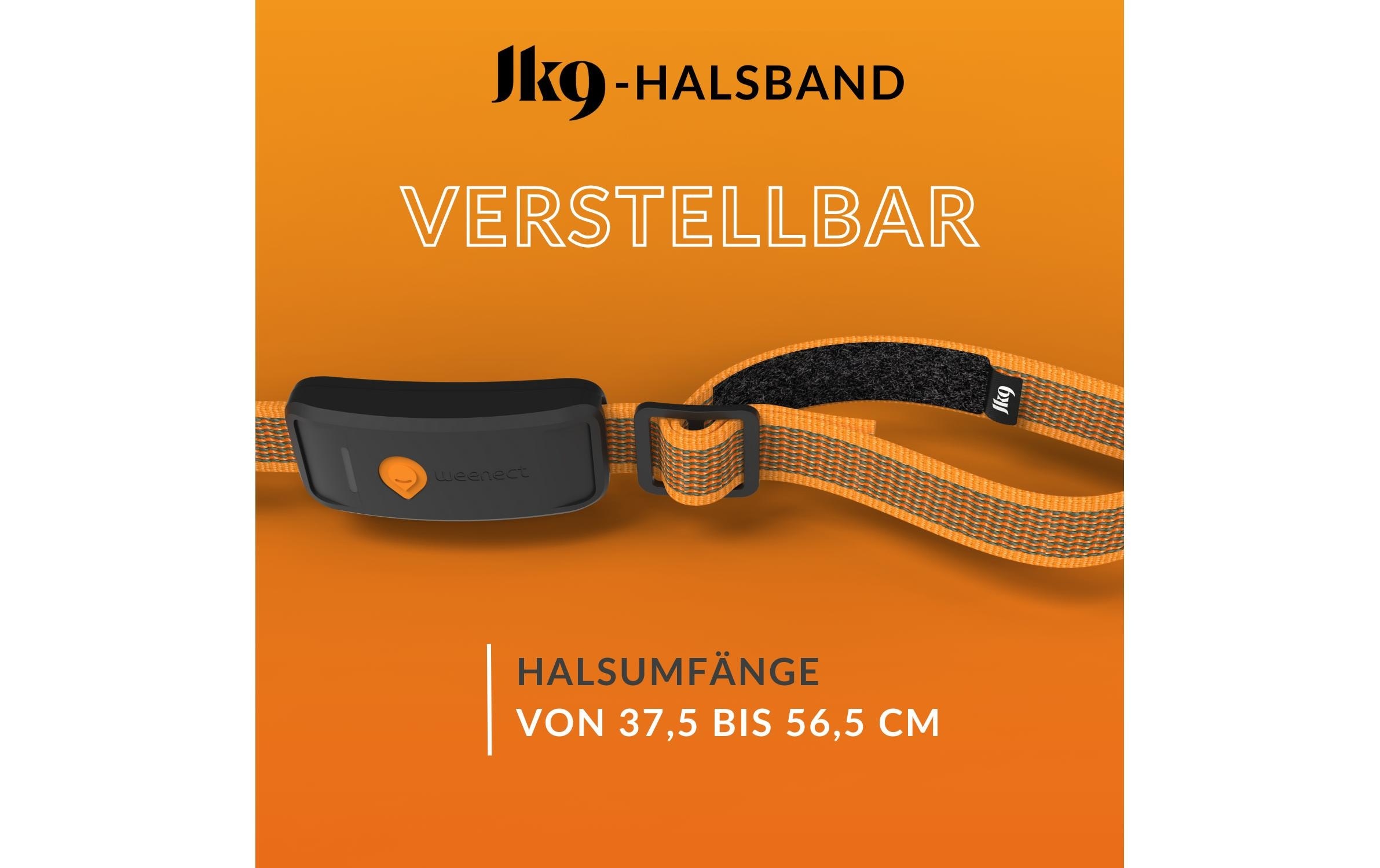 GPS-Tracker »Weenect für Hunde XT mit Halsband orange«