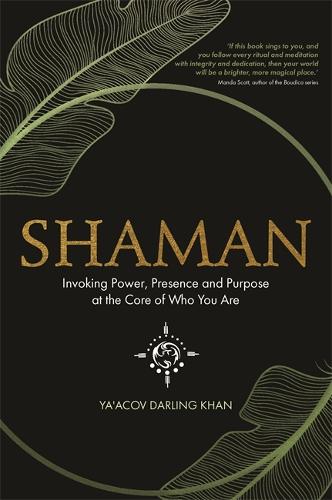 Shaman: Invoking Power, Presence and Purpose at the Core of Who You Are (Paperback)