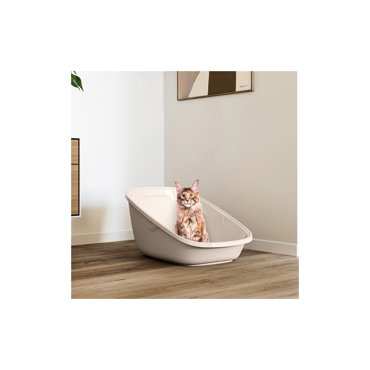 Savic Schalentoilette Aseo Giant mokka